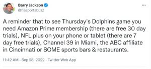 dolphins thoughts