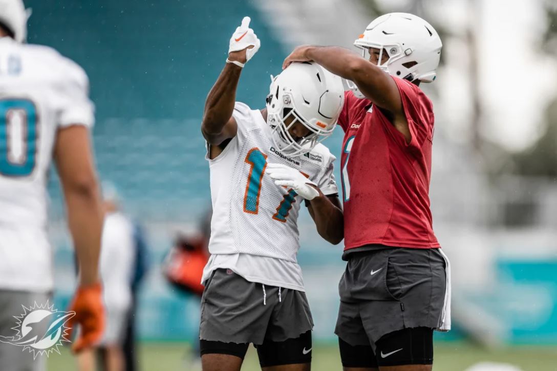 Week 7 Miami Dolphins Thirsty