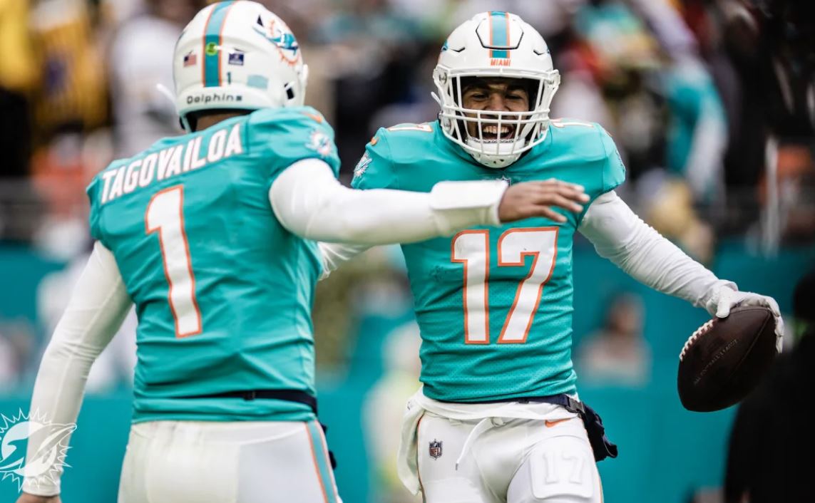 Monday Dolphins Notes