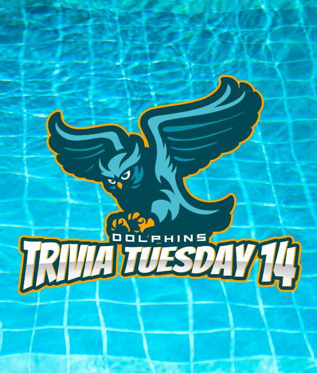 Miami Dolphins Trivia