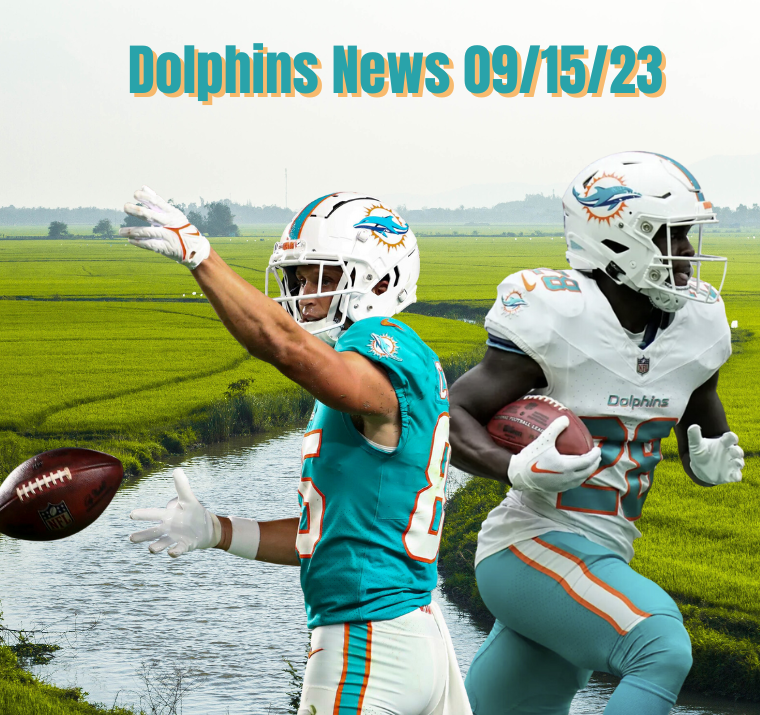 Dolphins news, today, thirsty