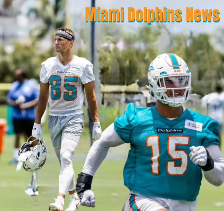 Miami Dolphins news, thirsty