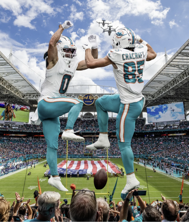 Dolphins Notes 11082023 