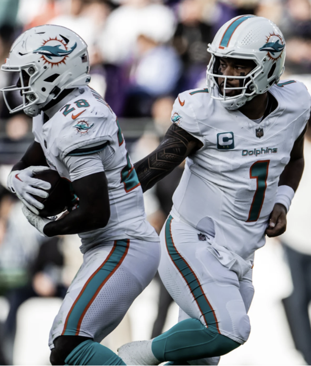 dolphins spanked by ravens